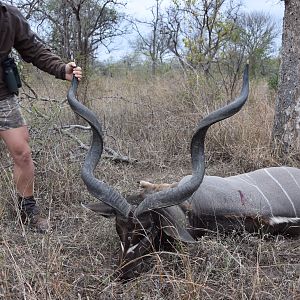 Kudu Hunt in South Africa