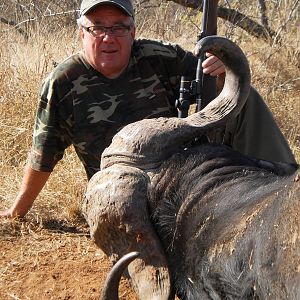 Cape Buffalo South Africa Hunt