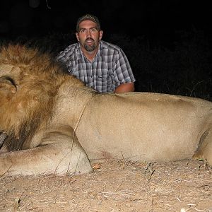 Hunting Lion South Africa