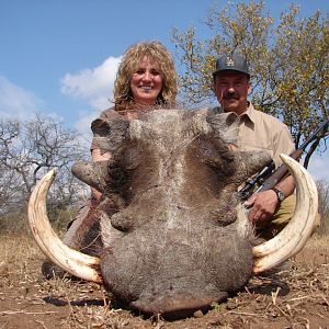 Hunting Warthog in South Africa