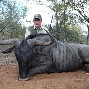 Blue Wildebeest Hunting in South Africa