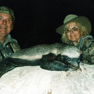 Hunting South Africa Honey Badger