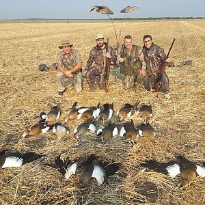 Wing Shooting Geese South Africa