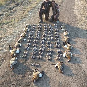 Bird Hunt South Africa