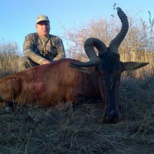 Red Hartebeest Hunting in South Africa