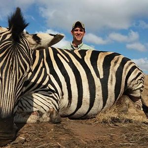 South Africa Burchell's Plain Zebra Hunt