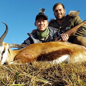 Springbok Hunt South Africa