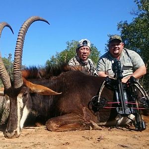 South Africa Sable Antelope Cross Bow Hunt