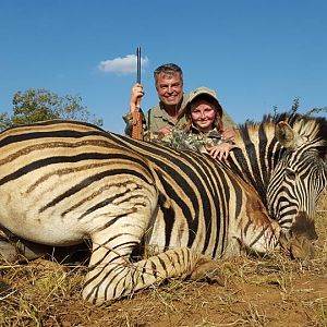 South Africa Burchell's Plain Zebra Hunt