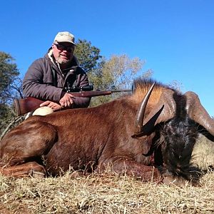 Hunting South Africa Black Wildebeest