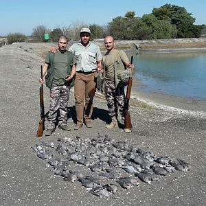 Wing Shooting Dove South Africa