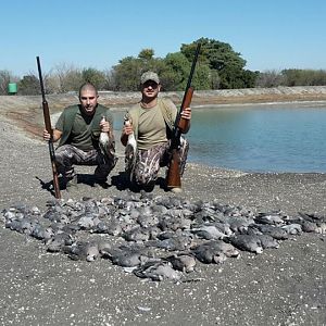 Wing Shooting Dove South Africa