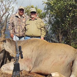 Hunting Eland South Africa