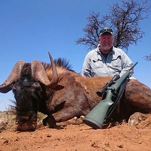 Hunting South Africa Black Wildebeest