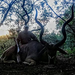 Kudu Hunt in South Africa