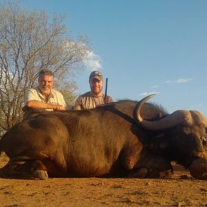 Hunting Buffalo in South Africa