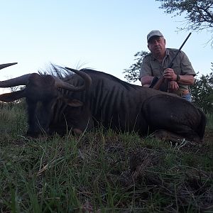 Blue Wildebeest Hunting in South Africa