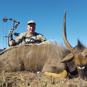 Bow Hunting Nyala South Africa