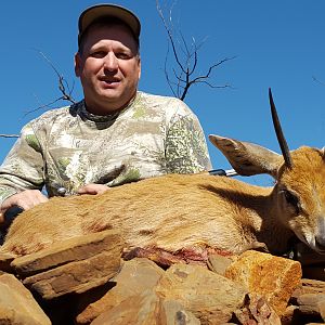 South Africa Steenbok Hunting