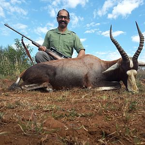 South Africa Blesbok Hunt