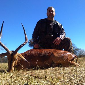 Hunting South Africa Impala