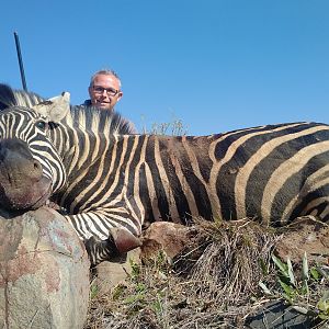 South Africa Burchell's Plain Zebra Hunt