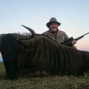 Blue Wildebeest Hunting in South Africa