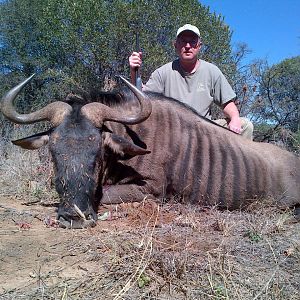 Blue Wildebeest Hunting in South Africa