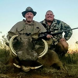 Hunting Warthog in South Africa