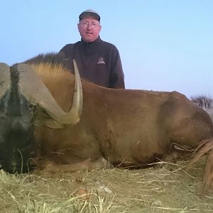 Hunting South Africa Black Wildebeest