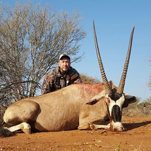 Gemsbok Hunting South Africa