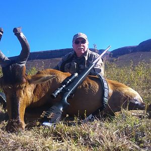 Red Hartebeest Hunting in South Africa