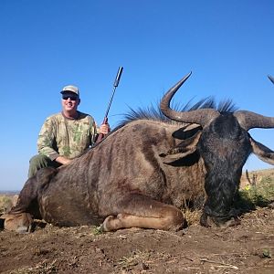 Blue Wildebeest Hunting in South Africa