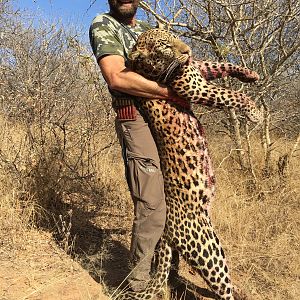 Leopard Hunt Zimbabwe