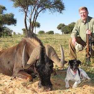 Black Wildebeest and my Fox terrier named Trigger