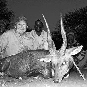 Cape Bushbuck