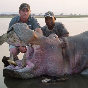 Hunt Hippo Tanzania