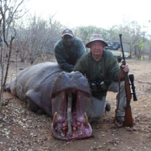 Hunt Hippo Tanzania