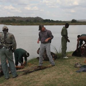 Hunting Hippo Tanzania