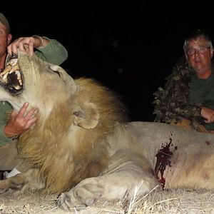 Hunting Tanzania Lion