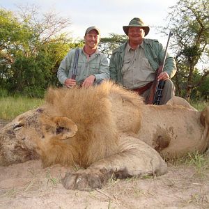 Hunting Tanzania Lion