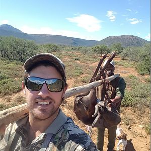 South Africa Black Springbok Hunting