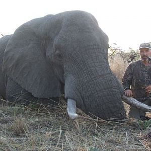 Elephant Bow Hunt