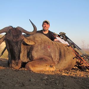 Blue Wildebeest Bow Hunting