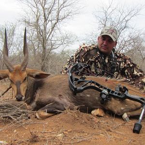 Bow Hunting Bushbuck