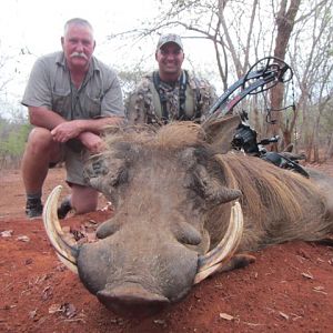 Media 'Bow Hunt Warthog' in category 'Bow Hunting Africa'