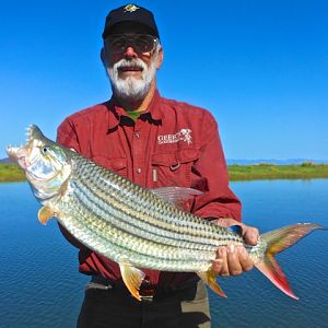 Tiger Fishing