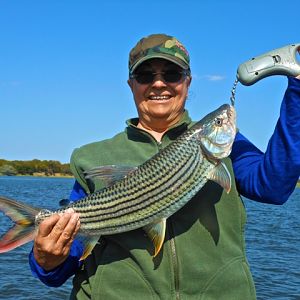 Tiger Fishing