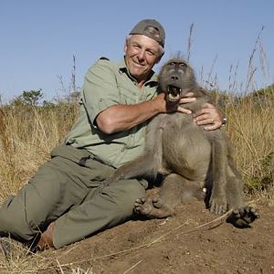 Baboon Hunt