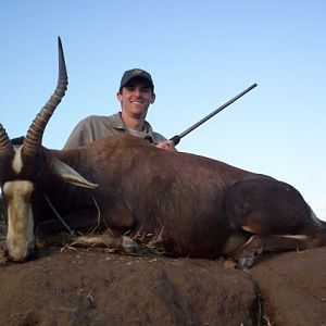 South Africa Blesbok Hunt